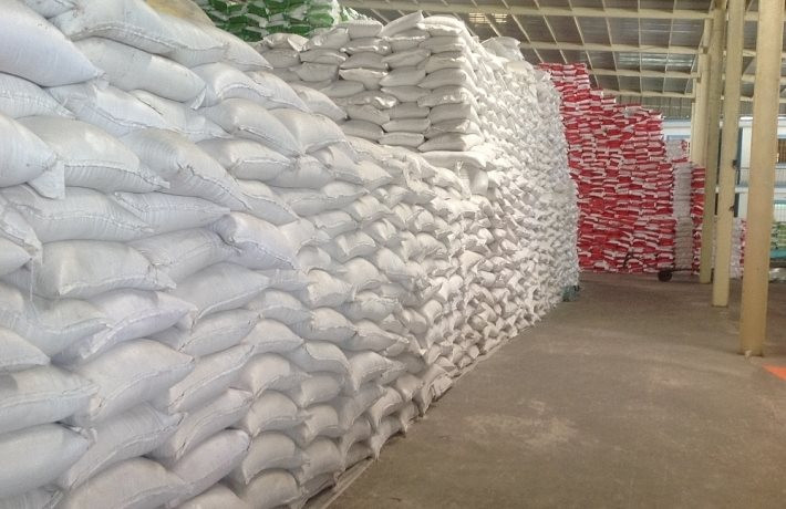 Xuất cấp 4.880,295 tấn gạo hỗ trợ người dân 3 tỉnh gặp khó khăn do Covid-19