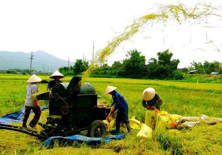 Bảo đảm giao kế hoạch vốn cho các chương trình mục tiêu quốc gia trước 15/12