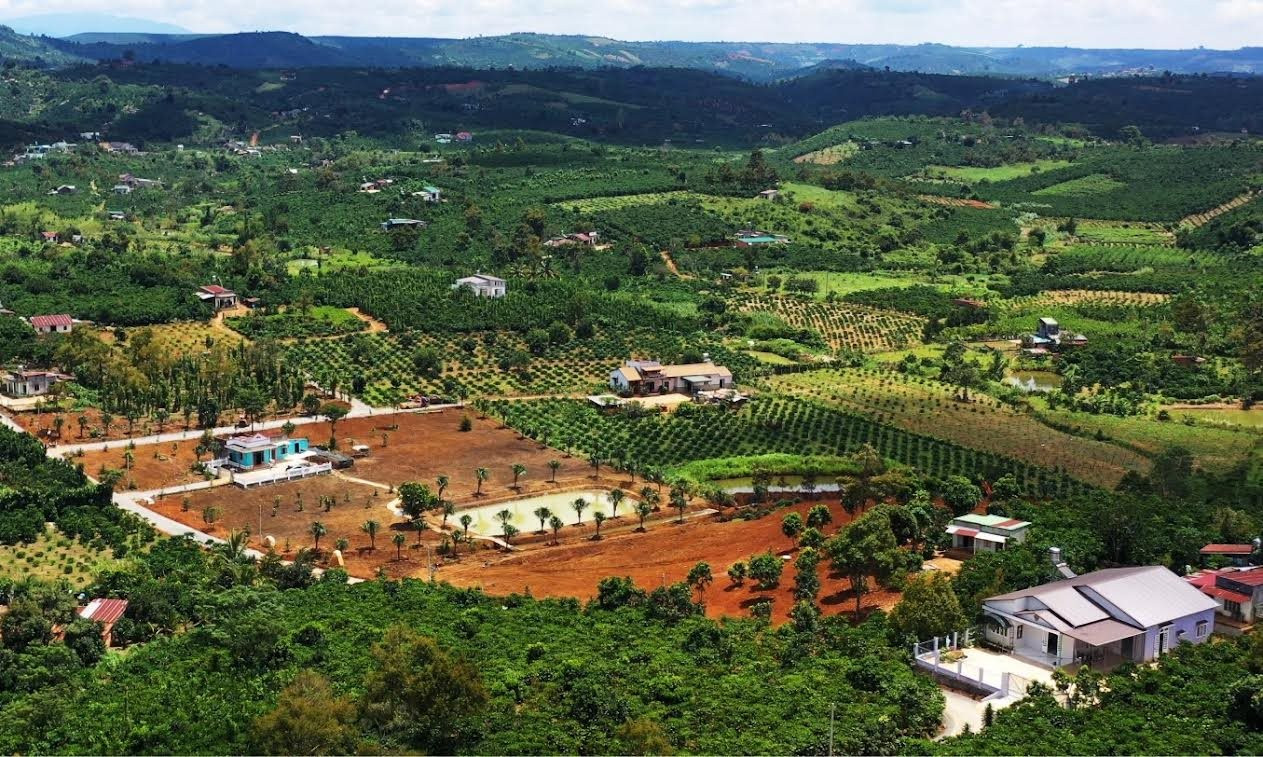 Lâm Đồng: Núp bóng “hiến đất mở đường” để phân lô bán nền