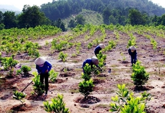 Số hoá ngành nông - lâm nghiệp, tránh tham lam để rồi quá tải và lạc hướng