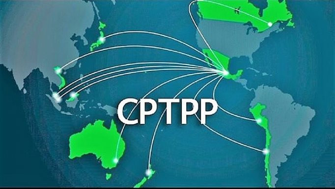 Hướng dẫn thực hiện về đấu thầu mua sắm theo Hiệp định CPTPP