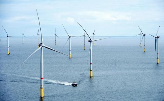 Trà Vinh chấp thuận chủ trương đầu tư dự án điện gió trị giá 3.860 tỷ đồng
