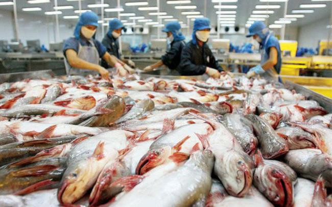 Xuất khẩu cá tra sang thị trường Mexico tăng tới 73%