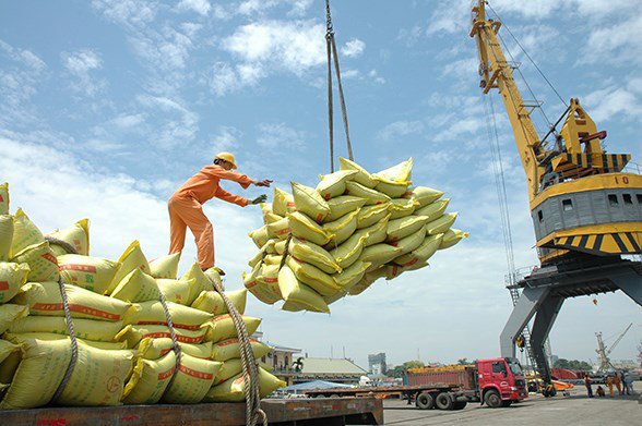 Thị trường lúa gạo trong nước chậm lại, xuất khẩu sôi động
