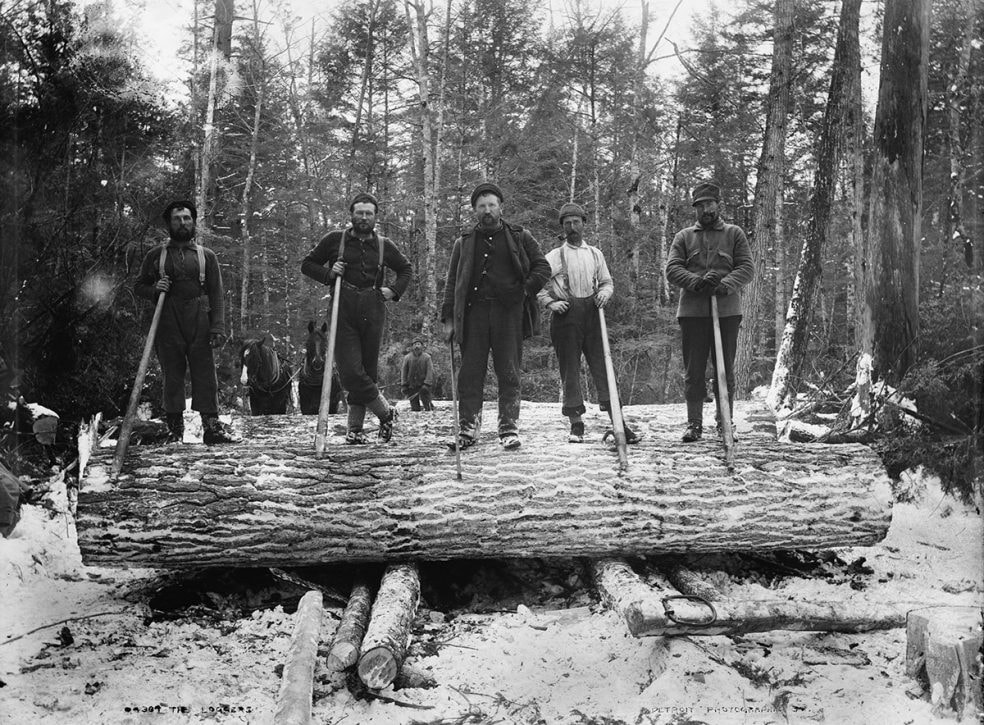 michigan-loggers-1200-984x725.jpg