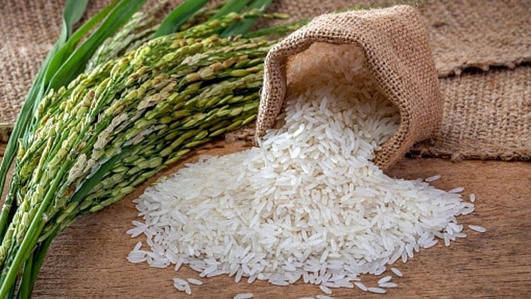 Thị trường lúa gạo sôi động phiên đầu tuần