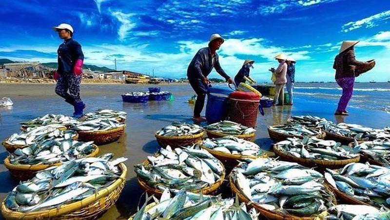 Xuất khẩu cá tra sang Trung Quốc dần hồi phục, cổ phiếu thuỷ sản nào "sáng cửa"?