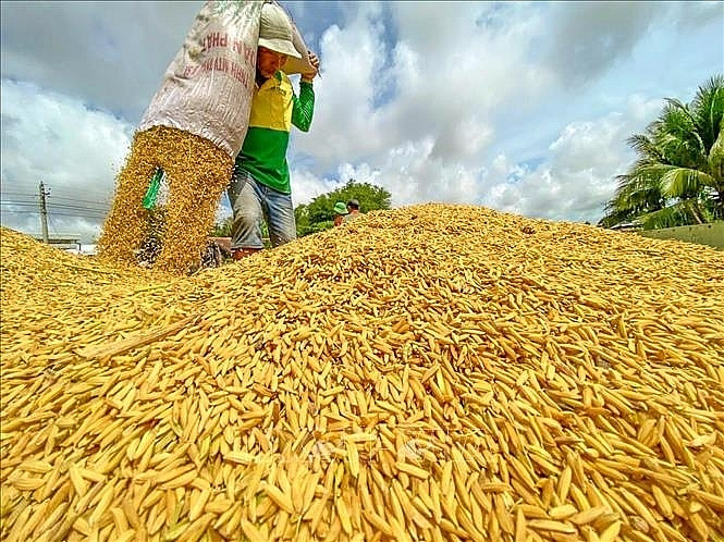 Nguồn cung gạo trong nước đang dần giảm 