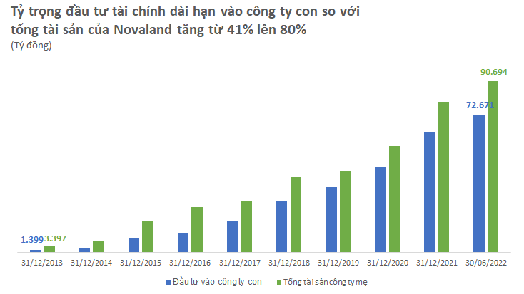 nvl-dau-tu-tai-chinh.png