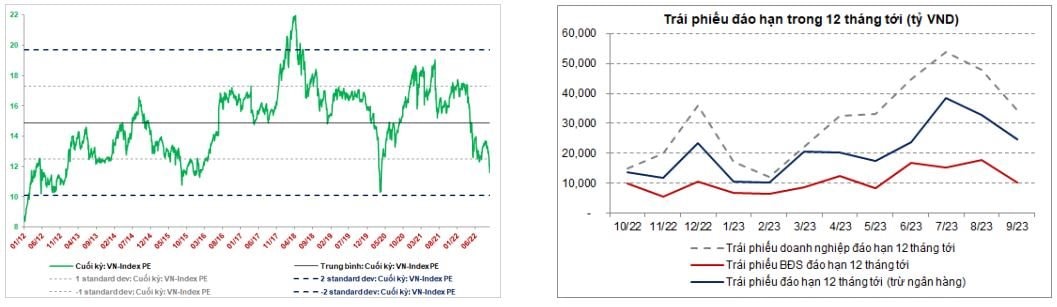 trai-phieu(1).jpg