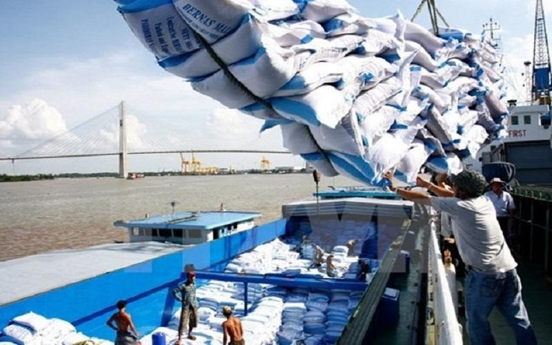 Giá gạo xuất khẩu điều chỉnh giảm 10 USD/tấn