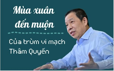 'Ông trùm vi mạch' ở khu chợ điện tử lớn nhất thế giới Hoa Cường Bắc: Từ công nhân trở thành ông chủ lớn, 60 tuổi khởi nghiệp liền trở thành triệu phú