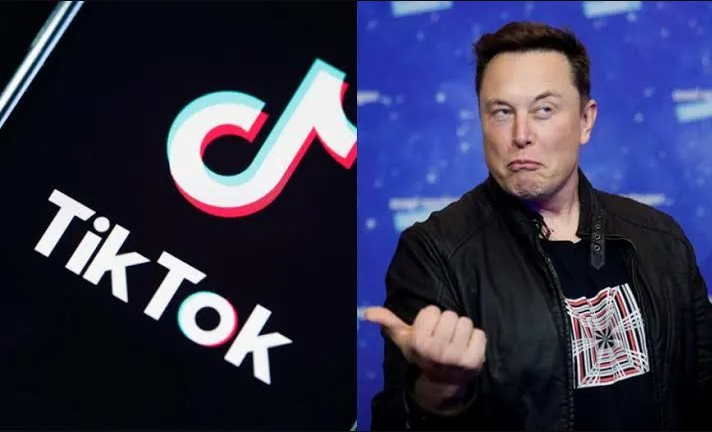 Elon Musk sẽ dùng Twitter để đại chiến... Tiktok?