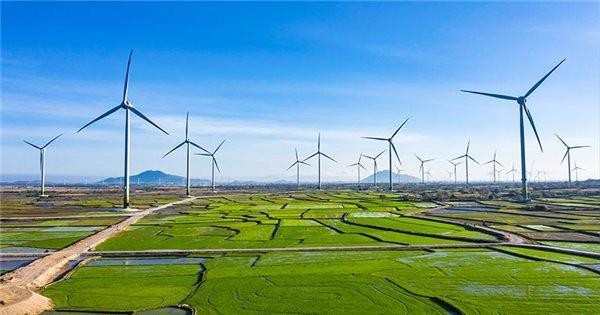 Top 3 công ty sản xuất điện gió nhiều nhất ở Việt Nam hiện nay là những ai?