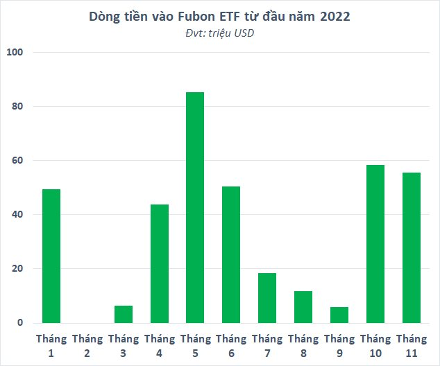 Dòng tiền từ Đài Loan (Trung Quốc) không ngừng chảy vào chứng khoán Việt Nam, Fubon ETF hút ròng hơn 9.000 tỷ đồng từ đầu năm - Ảnh 1.