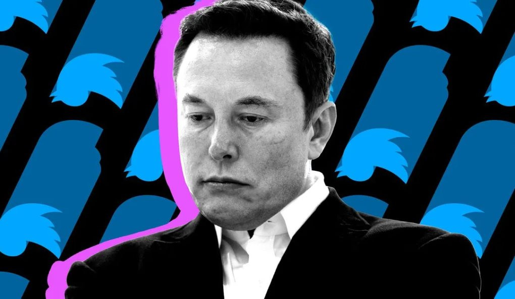 Sau thu phí tick xanh, Elon Musk lại muốn thu phí tất cả người dùng Twitter