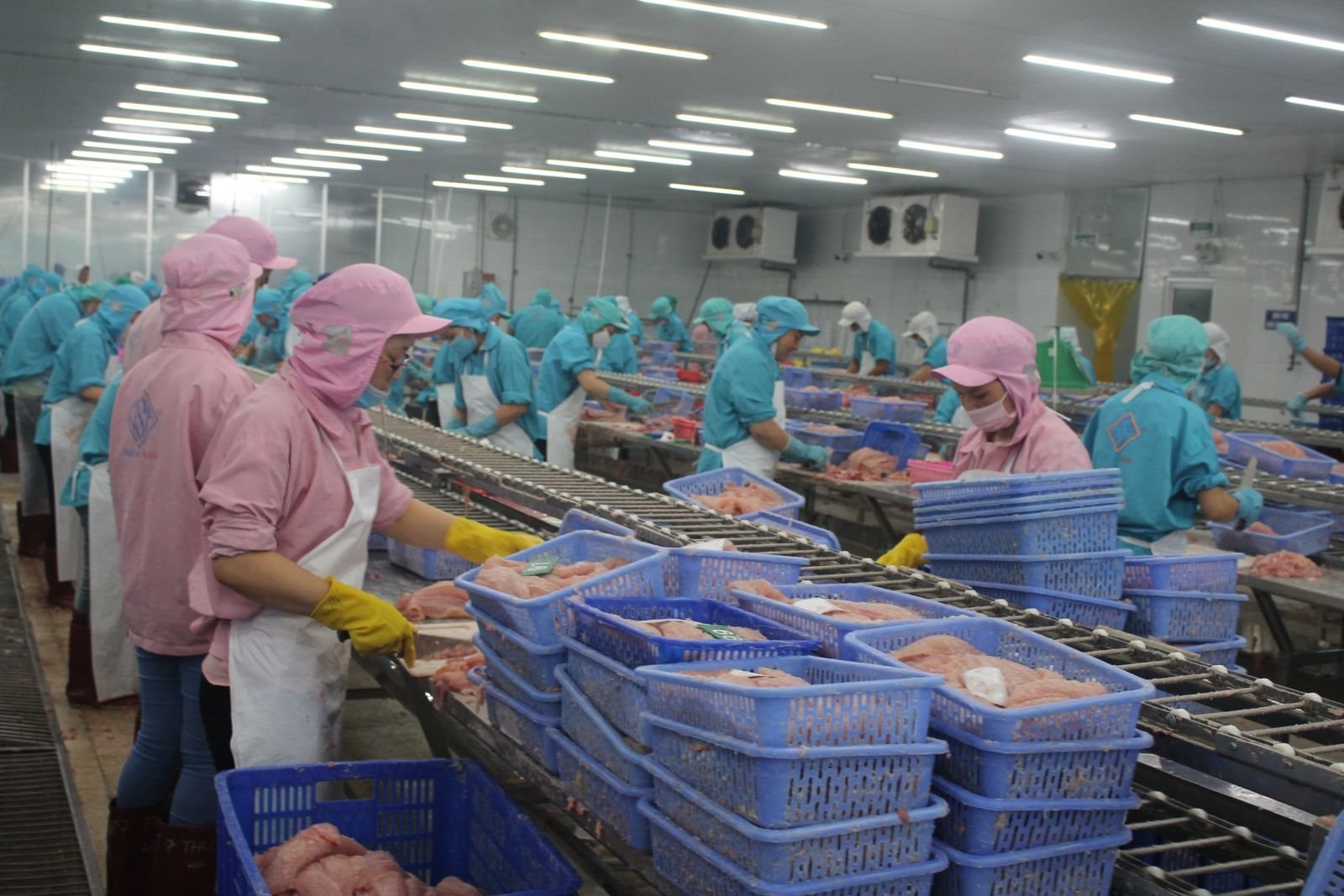 Cần Thơ muốn cùng TP.HCM trở thành trung tâm chế biến – phân phối của cả đồng bằng sông Cửu Long