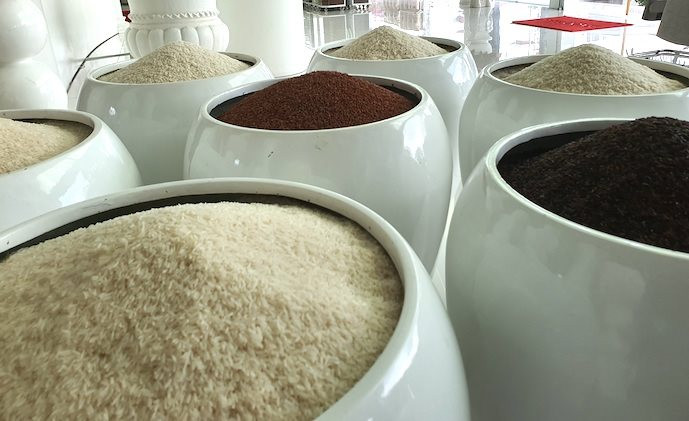 Thị trường lúa gạo ổn định phiên đầu tuần