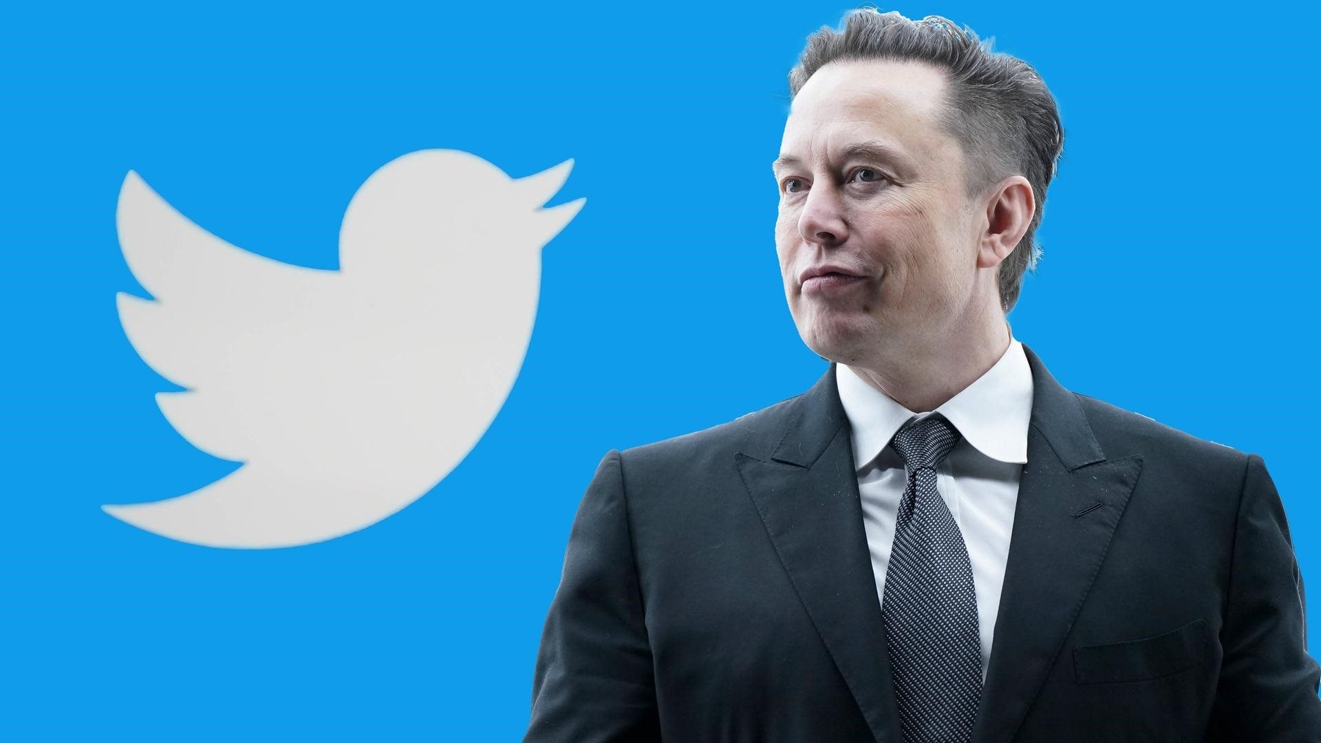 elon-musk-mua-twitte.jpg