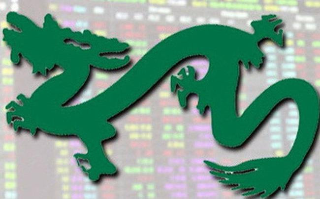 Nhóm quỹ Dragon Capital gom thêm hàng triệu cổ phiếu DXG và STB cuối năm 2022