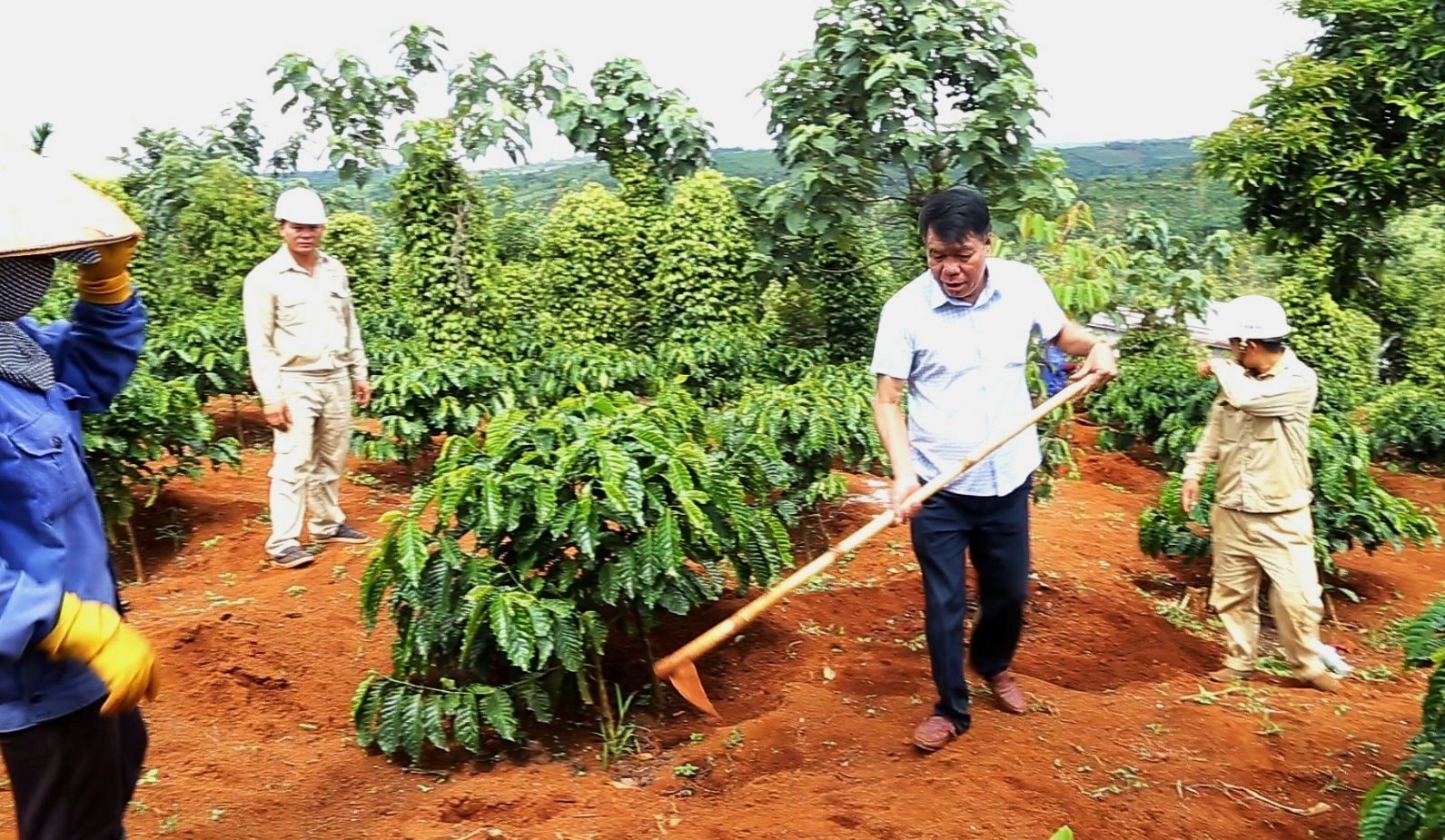 Doanh nhân Vũ Văn Trường và câu chuyện hiện thực hóa “giấc mơ” cà phê sạch Tây Nguyên 