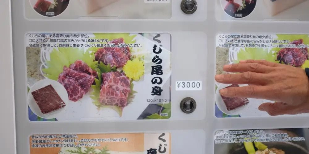 Một công ty Nhật Bản vừa mở bán thịt cá voi qua máy bán hàng tự động, giá thấp hơn cả 1 kg bò bắp ở Việt Nam