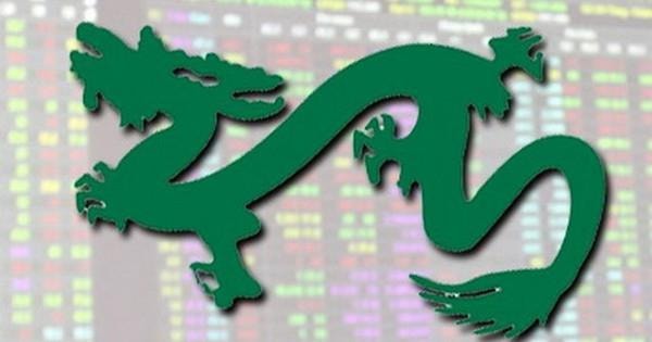 Quỹ lớn nhất do Dragon Capital quản lý nâng tỷ trọng cổ phiếu lên cao nhất trong 7 tháng