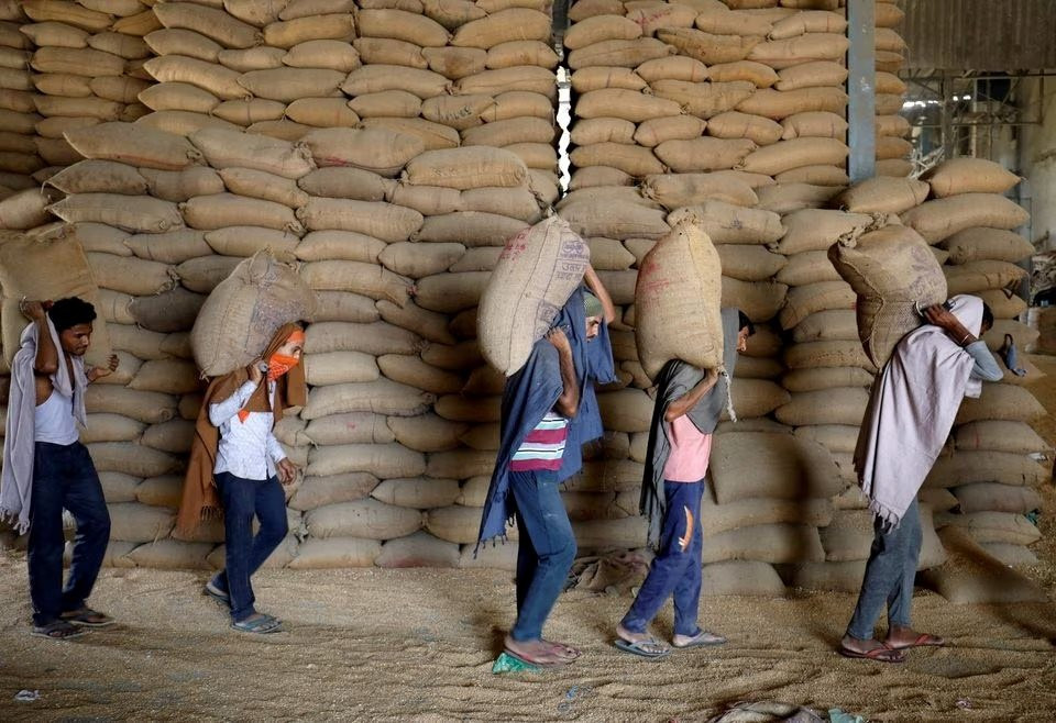 Quốc gia xuất khẩu top 2 thế giới tiếp tục kéo dài lệnh cấm xuất khẩu lúa mì 