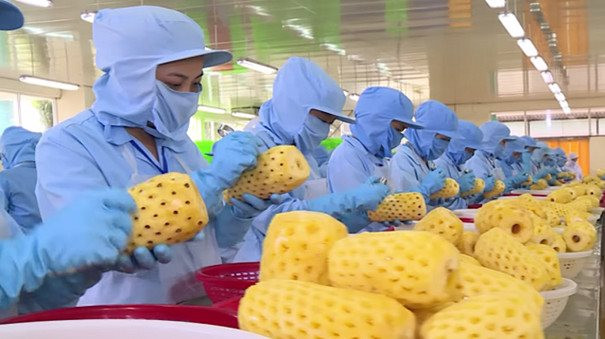 Việt Nam xuất khẩu rau quả đã qua chế biến vượt 1 tỷ USD năm 2022
