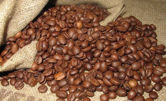 Cà phê trong nước tiếp tục tăng giá mạnh, tiến gần mốc 48.000 đồng/kg