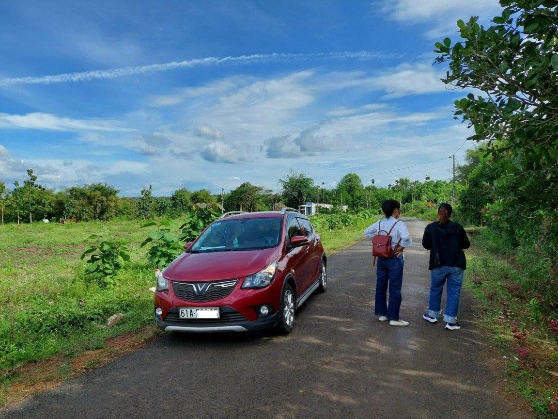 Thị trường bất động sản có nhiều khác lạ, đất nền sẽ tăng giá trở lại vào cuối năm?
