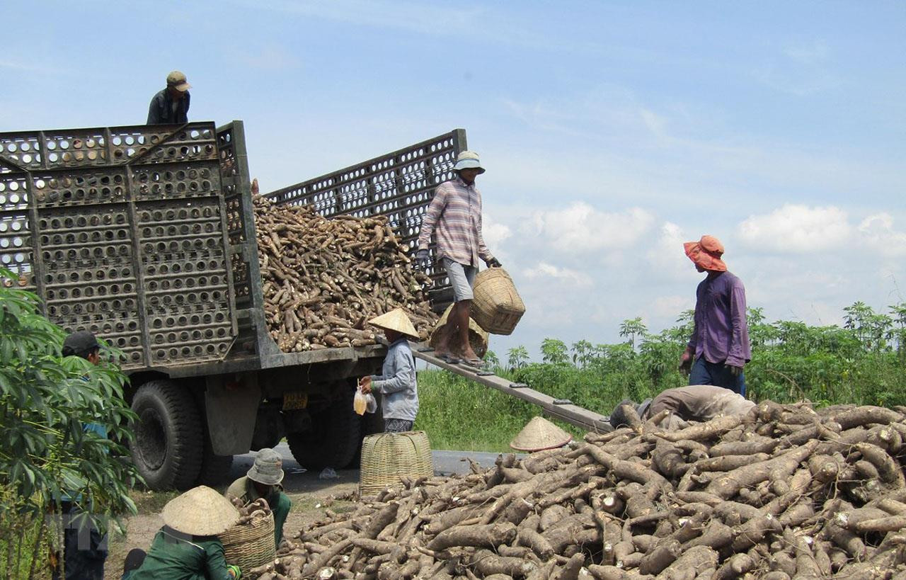 Hưởng lợi từ loại nông sản xuất khẩu tỷ đô của Việt Nam, nhóm cổ phiếu liên quan âm thầm bứt phá