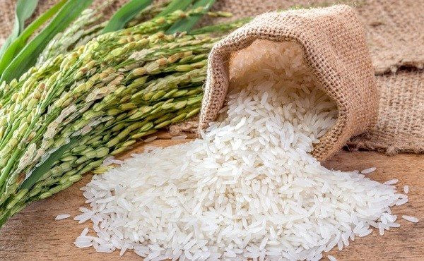 Giá gạo xuất khẩu Việt Nam vượt Thái Lan, Ấn Độ