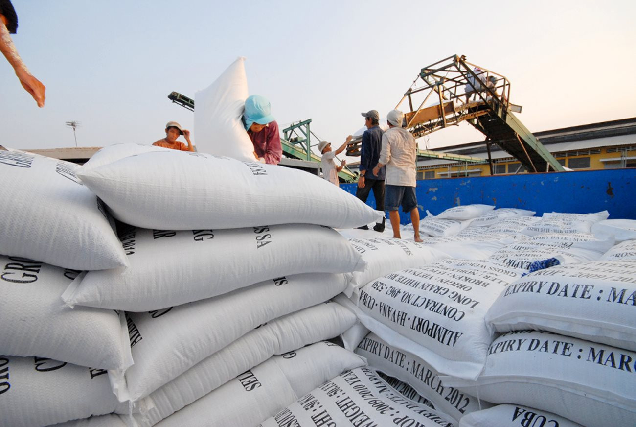 Dự báo Trung Quốc sẽ bắt đầu tăng nhập khẩu gạo dự trữ