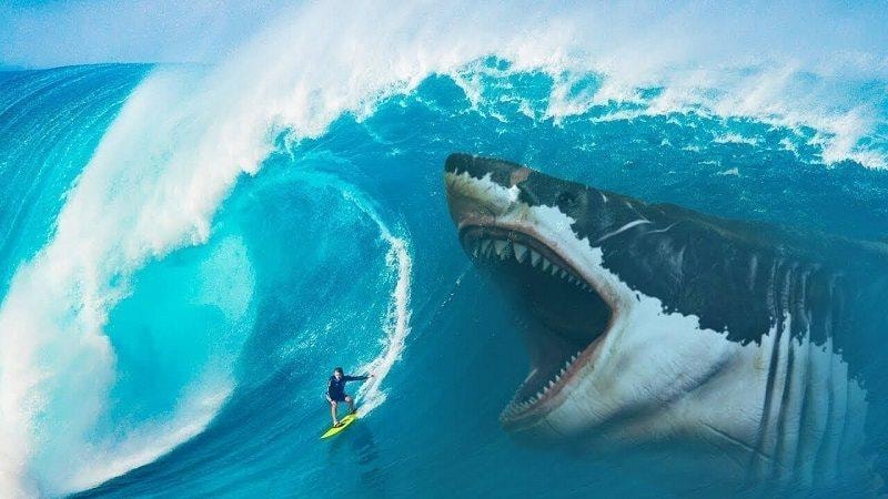 Kinh tế trưởng MBS: Nhà đầu tư "lướt sóng" chứng khoán cần tránh 9 sai lầm, đặc biệt không nên khoe lãi, khoe danh mục 