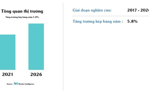 Thị trường nệm Việt Nam – giải pháp và định hướng lựa chọn đúng đắn cho người tiêu dùng