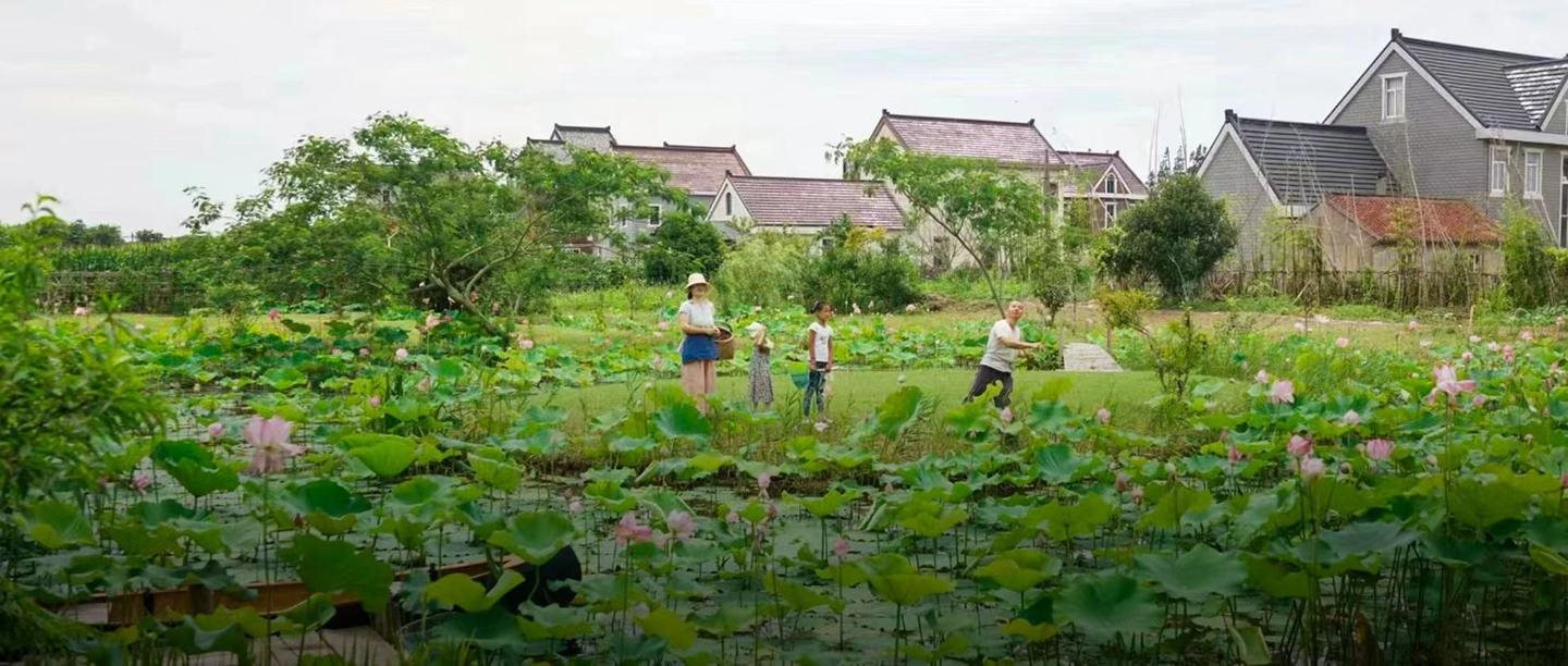 Bán nhà thành phố, đôi vợ chồng Trung Quốc về quê mua mảnh đất hoang 12.000m2 sống “tự cung tự cấp”: Tự do về cả vật chất lẫn tinh thần