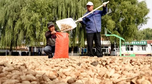 Một loạt nông sản Việt Nam sản xuất thuộc top đầu thế giới bất ngờ tăng nóng do El Nino, cả thế giới đang cần đến bởi toàn là nguyên liệu cực quan trọng