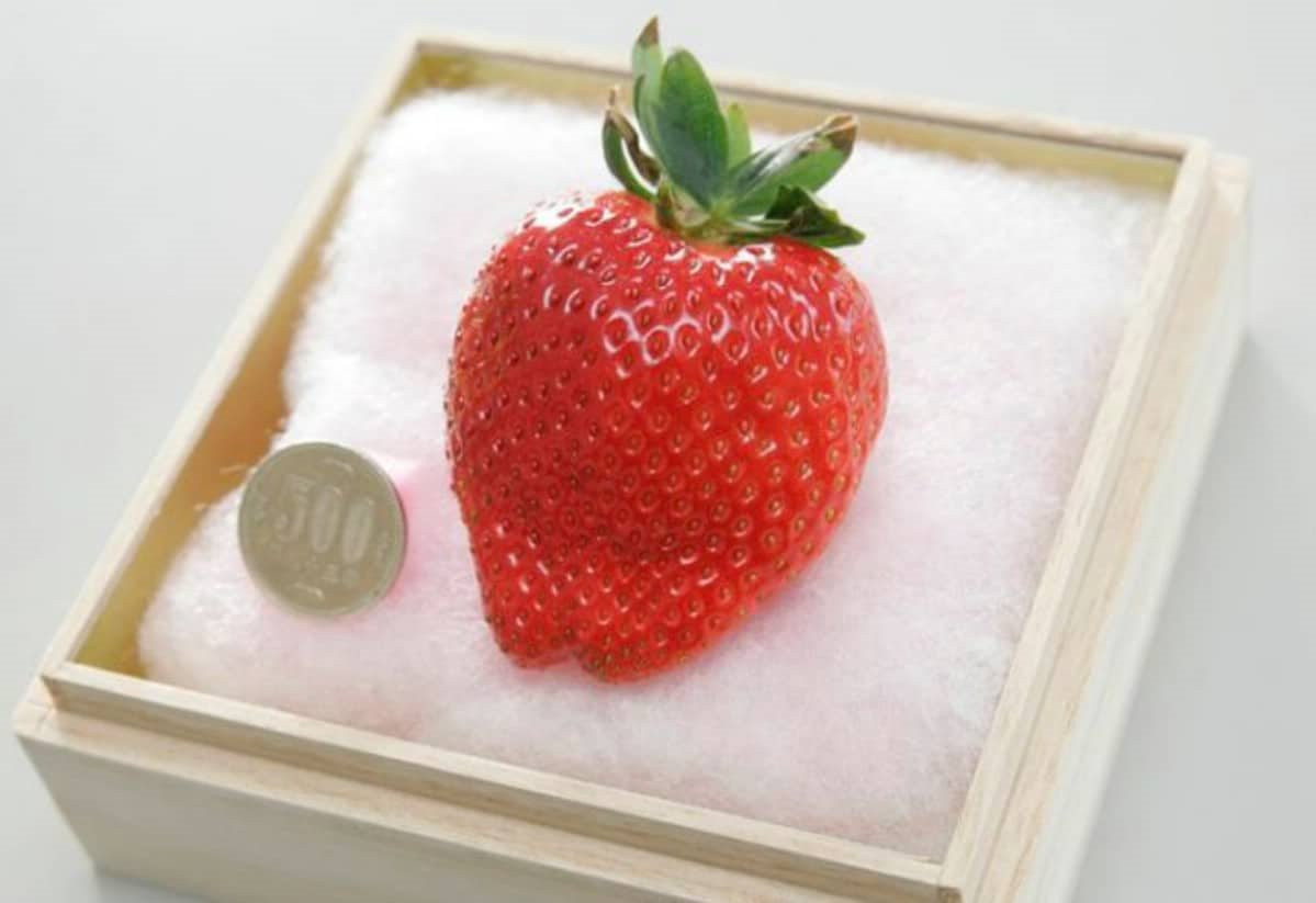japanese-strawberry-1.jpg