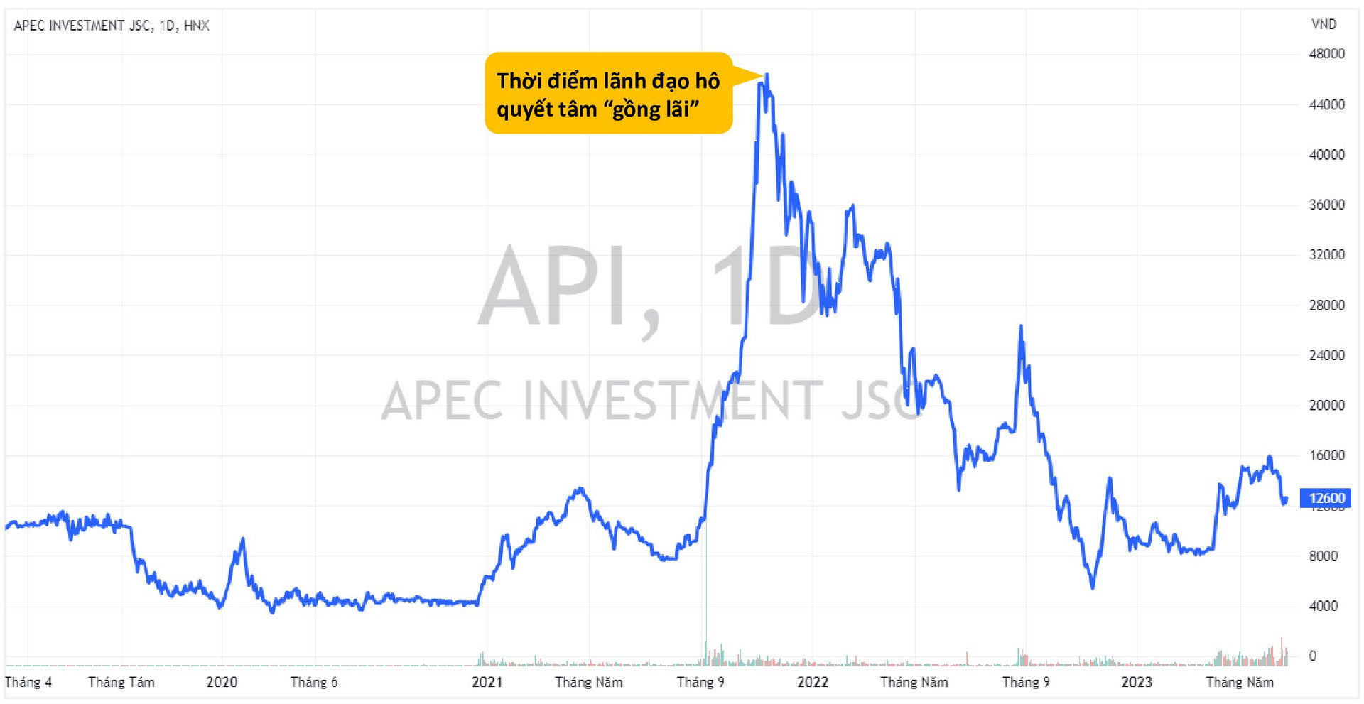 Cổ phiếu nhóm APEC đồng loạt "bốc hơi" gần 80% giá trị kể từ thời điểm lãnh đạo đeo khăn tím hô quyết tâm "gồng lãi"