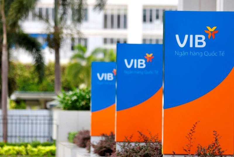 Vuib