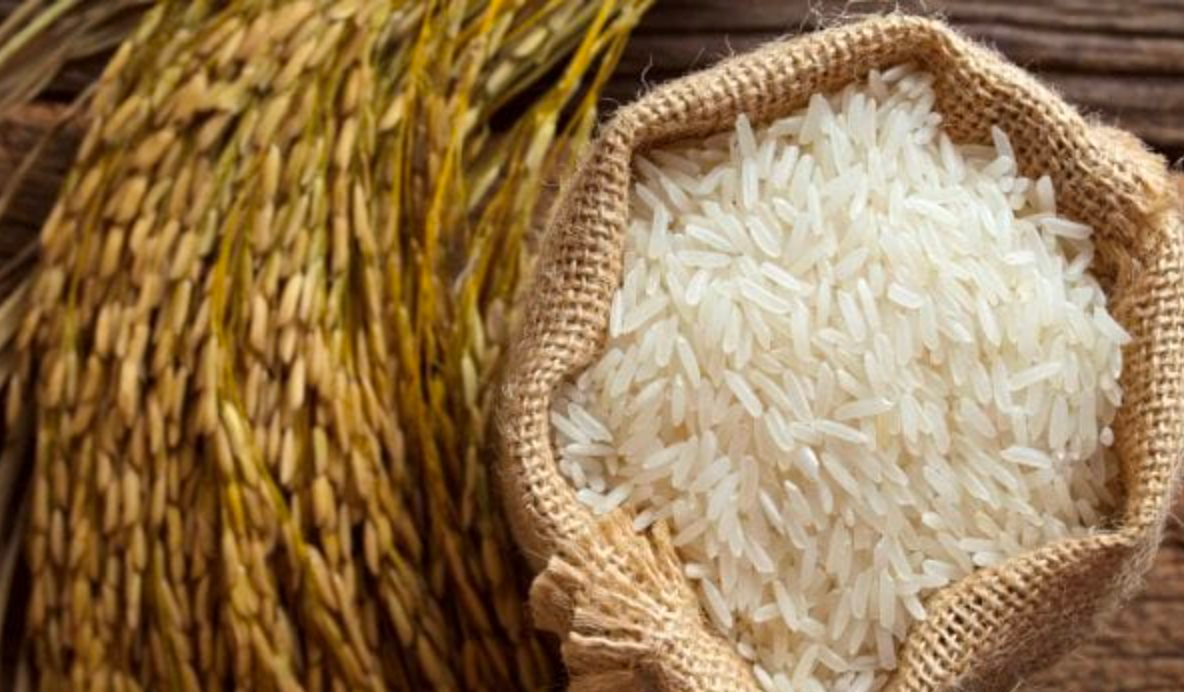 Giá gạo Việt tăng cao, cơ hội xuất khẩu đã đến 