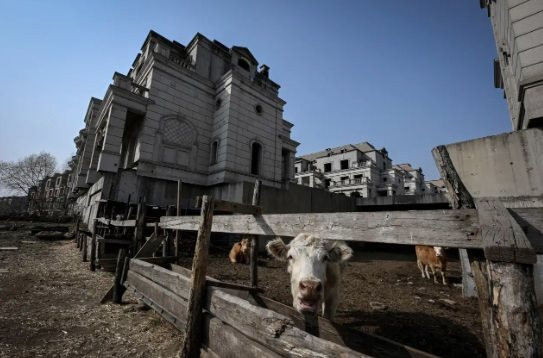 Thảm họa khủng hoảng BĐS Trung Quốc: Dự án có hàng trăm biệt thự giá triệu USD thành thị trấn ma, bị nông dân ‘xâm chiếm’ nuôi bò, trồng trọt