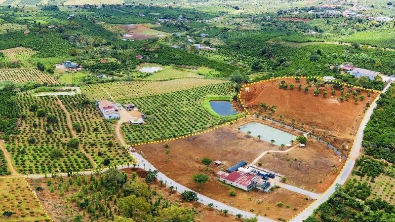 Hai địa phương tại Lâm Đồng cho phép chuyển mục đích sử dụng đất trở lại 