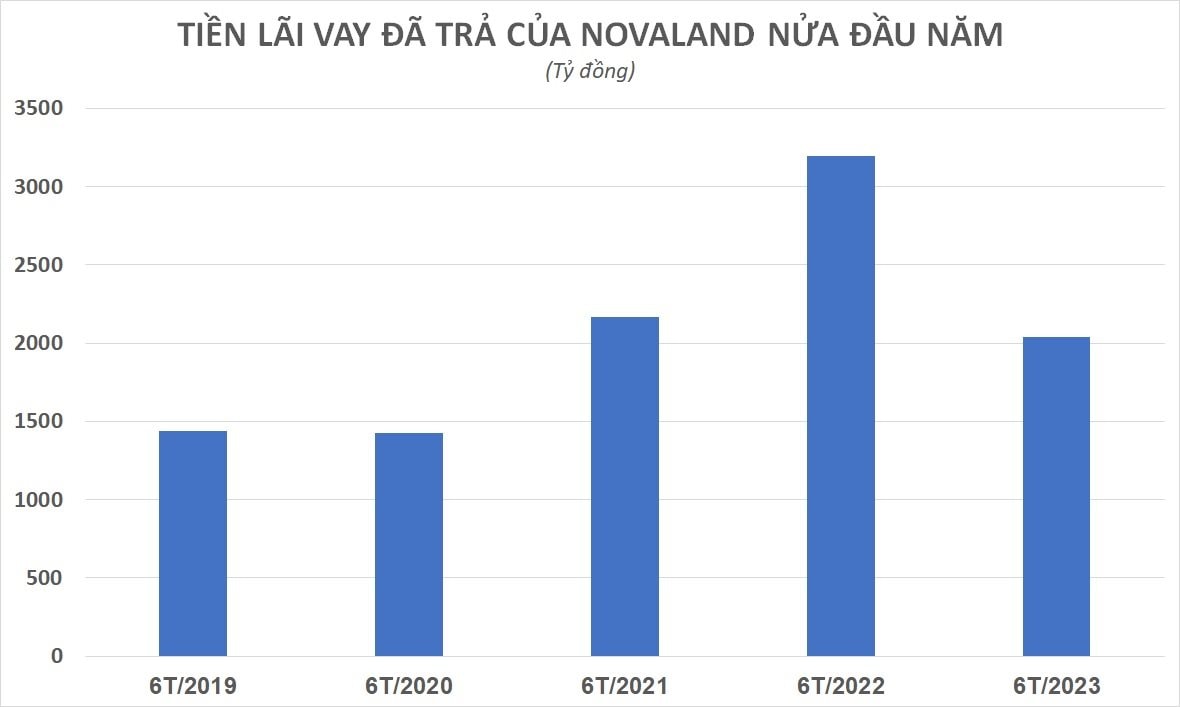 nvll-1-.jpg