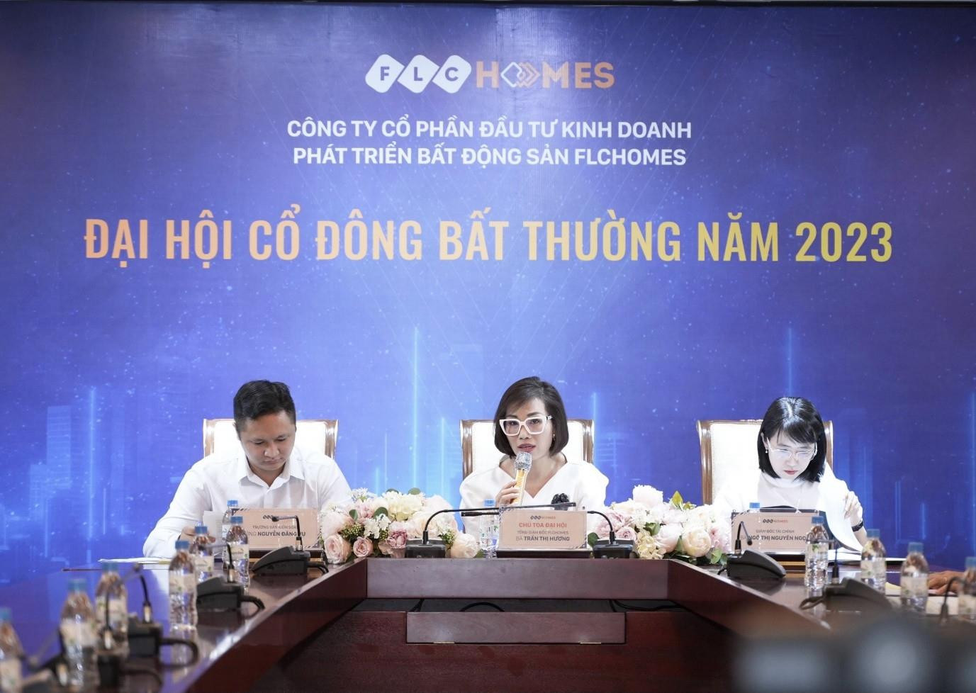 ĐHCĐ bất thường FLCHomes bầu ban lãnh đạo mới: Bà Trần Thị Hương giữ chức Chủ tịch HĐQT 