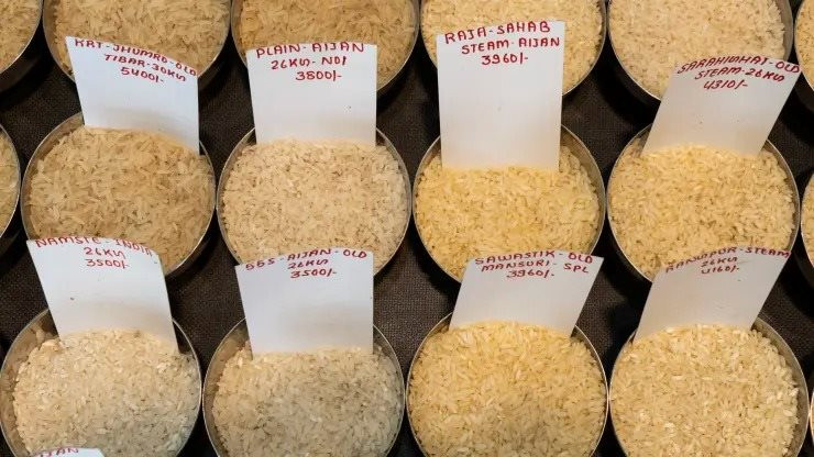 CNBC: Giá gạo sẽ tăng mạnh nếu kịch bản này xảy ra