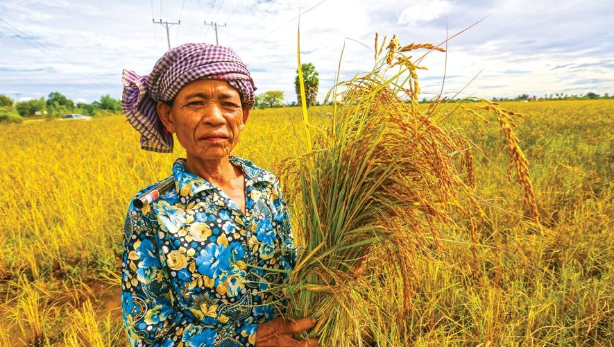 Quốc gia 'sát sườn' Việt Nam hưởng lợi lớn từ lệnh cấm của Ấn Độ: Giá gạo tăng 30-40%, thời cơ xuất khẩu rộng mở