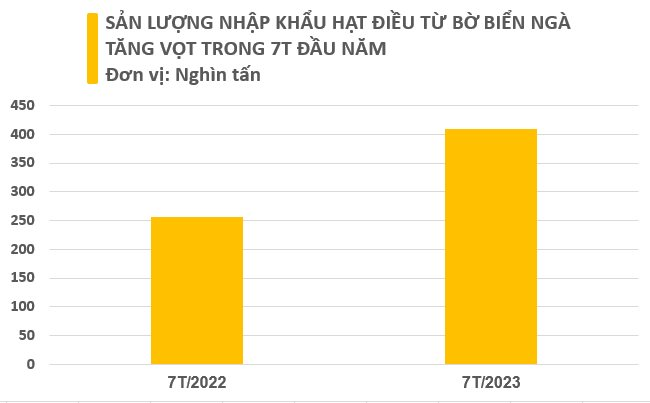 Một loại hạt giá rẻ từ Bờ Biển Ngà đang đổ bộ Việt Nam dù nước ta xuất khẩu đứng đầu thế giới, sản lượng trong 7 tháng bằng cả năm 2022 cộng lại 4