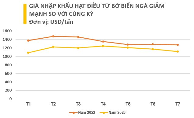 Một loại hạt giá rẻ từ Bờ Biển Ngà đang đổ bộ Việt Nam dù nước ta xuất khẩu đứng đầu thế giới, sản lượng trong 7 tháng bằng cả năm 2022 cộng lại 5